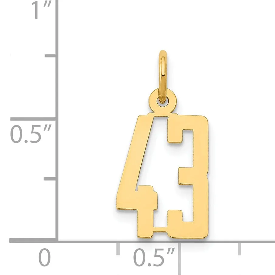 14K Yellow Gold Polished Finish Small Size Elongated Shape Number 43 Charm Pendant