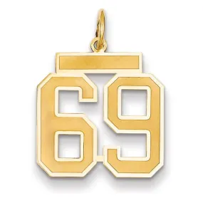 14k Yellow Gold Satin Brush Finish Medium Size Number 69 Charm Pendant