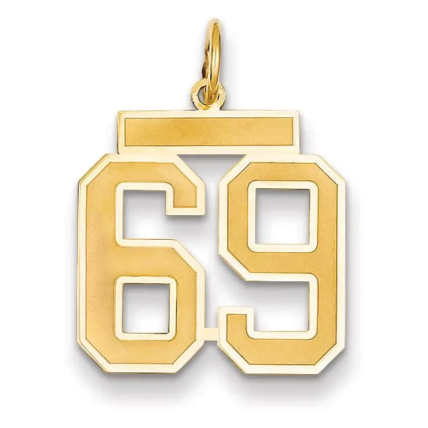 14k Yellow Gold Satin Brush Finish Medium Size Number 69 Charm Pendant