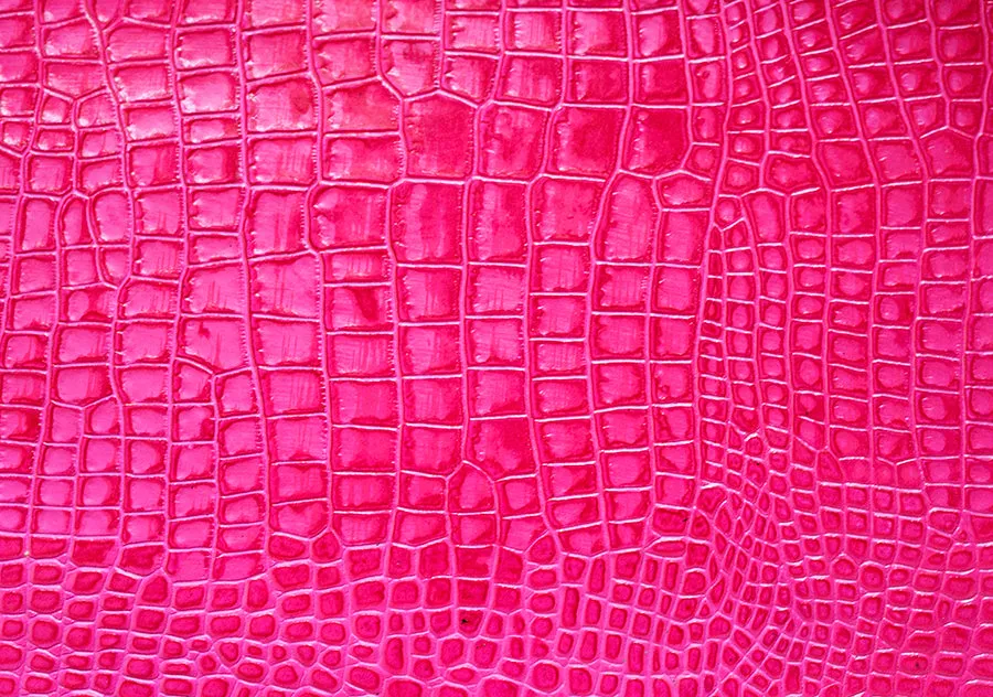 POISON Corset < DIVA-1 >